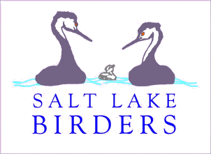 Salt Lake Birders